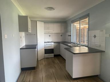 House Leased - NSW - Iluka - 2466 - 3 BEDROOM COTTAGE WITH SEPERATE STUDIO  (Image 2)