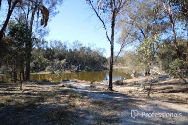 Lifestyle For Sale - WA - Arthur River - 6315 - Prime Land Available Now for off grid living (Image 2)