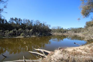 Lifestyle For Sale - WA - Arthur River - 6315 - Prime Land Available Now for off grid living (Image 2)