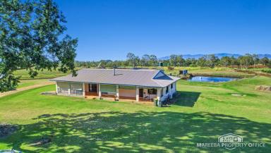 Horticulture For Sale - QLD - Walkamin - 4872 - WALKAMIN SHEPARD AVOCADO ORCHARD - 120ML WATER  (Image 2)