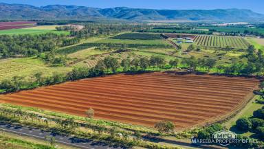 Horticulture For Sale - QLD - Walkamin - 4872 - WALKAMIN SHEPARD AVOCADO ORCHARD - 120ML WATER  (Image 2)