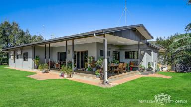 Horticulture For Sale - QLD - Walkamin - 4872 - TURNKEY HORTICULTURE FARM ON 272 ACRES WITH PACKING SHEDS  (Image 2)