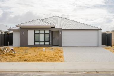 House For Sale - WA - Lakelands - 6180 - Brand New Designer Living in Lakelands – Move Straight In and Enjoy  (Image 2)