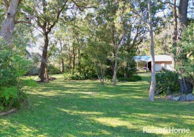 House For Sale - NSW - Bangalee - 2541 - Space, Serenity & Endless Possibilities  (Image 2)
