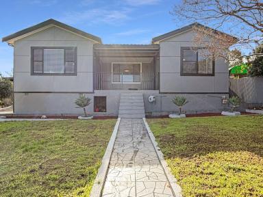 House For Sale - NSW - Narrandera - 2700 - INVESTMENT OPPORTUNITY GENEROUS 1,012m² BLOCK  (Image 2)