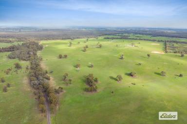 Residential Block For Sale - VIC - Toolleen - 3551 - Grazing, Fodder Production and Lifestyle. Two Properties with Spectacular Views, Selling 'As a Whole' or in 2 Lots (Image 2)