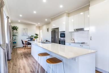 Lifestyle For Sale - NSW - Collins Creek - 2474 - Stunning Views All Around! (Image 2)