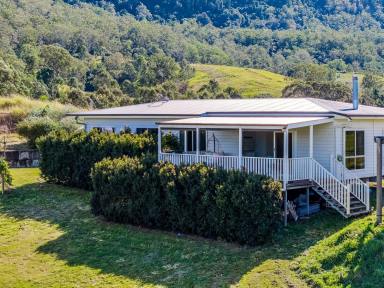 Lifestyle For Sale - NSW - Collins Creek - 2474 - Breathtaking views (Image 2)