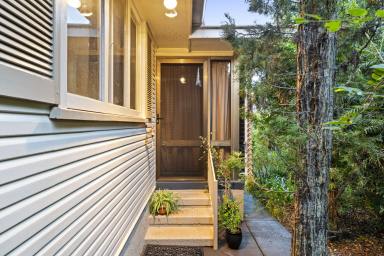 House For Sale - QLD - Wilsonton - 4350 - A Rare Family Haven with Space to Grow, Entertain & Thrive  (Image 2)