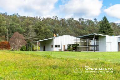 Lifestyle For Sale - VIC - Dargo - 3862 - Your Next Dargo High Country Getaway  (Image 2)