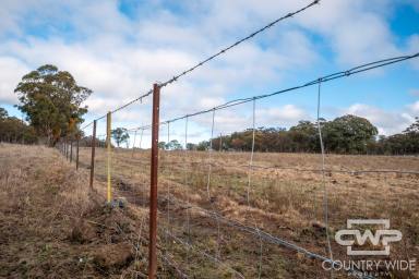 Lifestyle For Sale - NSW - Stannum - 2371 - Ready to Build Rural Escape  (Image 2)