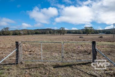Lifestyle For Sale - NSW - Stannum - 2371 - Ready to Build Rural Escape  (Image 2)