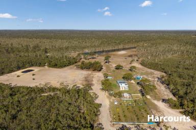 Other (Residential) For Sale - QLD - Buxton - 4660 - PEACE PRIVACY AND SERENITY - 387.21 ACRES  (Image 2)