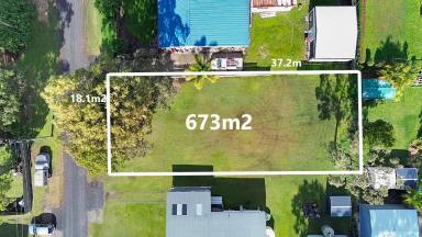 Residential Block For Sale - QLD - Macleay Island - 4184 - Cleared, Quiet & Mere Steps to the Water  (Image 2)