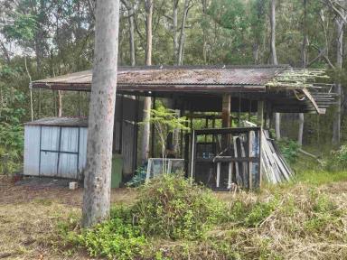 Residential Block For Sale - QLD - Wolvi - 4570 - Cleared Coastal Retreat - Ready for Your Dream Build (Image 2)