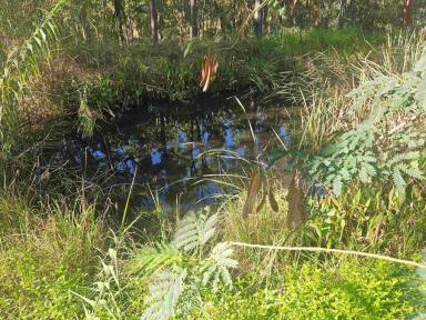 Residential Block For Sale - QLD - Wolvi - 4570 - BUSH HIDEAWAY  (Image 2)