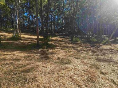 Residential Block For Sale - QLD - Wolvi - 4570 - BUSH HIDEAWAY  (Image 2)