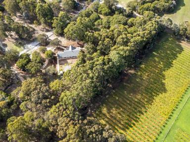 House For Sale - WA - Margaret River - 6285 - A SECLUDED HAVEN AMONG TREES AND VINES  (Image 2)