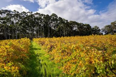 House For Sale - WA - Margaret River - 6285 - A SECLUDED HAVEN AMONG TREES AND VINES  (Image 2)