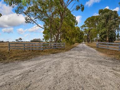 Mixed Farming For Sale - VIC - Tongala - 3621 - Certified Organic Farming Opportunity on 105 Acres  (Image 2)