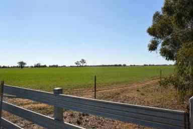 Mixed Farming For Sale - VIC - Tongala - 3621 - Looking for your Next Organic Farm?  (Image 2)