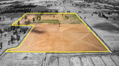 Mixed Farming For Sale - VIC - Tongala - 3621 - Certified Organic Farming Opportunity on 105 Acres  (Image 2)