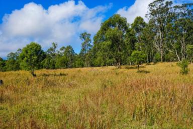 Lifestyle For Sale - NSW - Drake - 2469 - ARTISTS CAMP (Image 2)