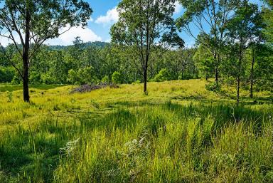Lifestyle For Sale - NSW - Drake - 2469 - ARTISTS CAMP (Image 2)