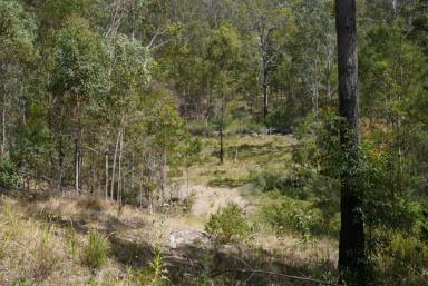 Lifestyle For Sale - NSW - Drake - 2469 - ARTISTS CAMP  (Image 2)