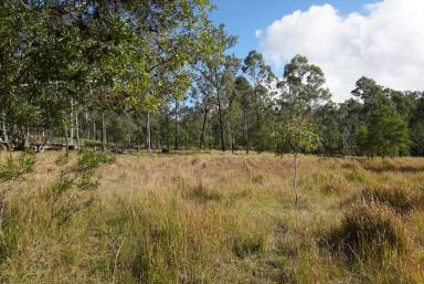 Lifestyle For Sale - NSW - Drake - 2469 - A NATURE TRAIL (Image 2)