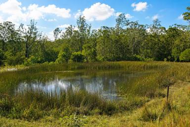 Lifestyle For Sale - NSW - Drake - 2469 - ARTISTS CAMP (Image 2)