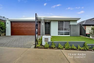 House For Sale - WA - Banksia Grove - 6031 - The Complete Family Package  (Image 2)
