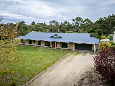House For Sale - SA - Naracoorte - 5271 - Rural Living, Space & Sustainability - 3.35 acres (Image 2)