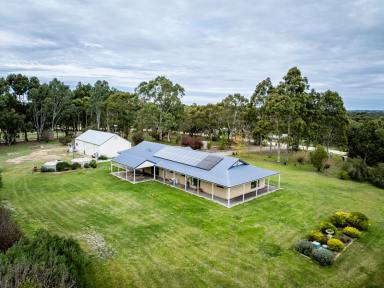 House For Sale - SA - Naracoorte - 5271 - Rural Living, Space & Sustainability - 3.35 acres  (Image 2)