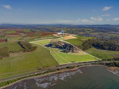 Other (Rural) For Sale - TAS - Leith - 7315 - Prime Cropping Land, Once in a Century Opportunity  (Image 2)