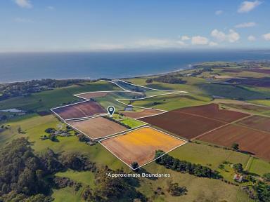 Other (Rural) For Sale - TAS - Leith - 7315 - Prime Cropping Land, Once in a Century Opportunity  (Image 2)