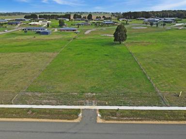 Residential Block For Sale - VIC - Lindenow South - 3875 - GENEROUS SIZED BLOCK  (Image 2)