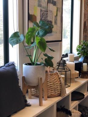 Business For Sale - NSW - Leura - 2780 - $1M+ Revenue 30 yrs Retail Business  (Image 2)
