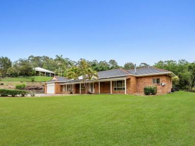 Acreage/Semi-rural For Sale - QLD - Bonogin - 4213 - Over an Acre  of Usable Land, Pool & Hinterland Views  (Image 2)
