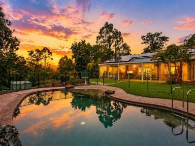 Acreage/Semi-rural For Sale - QLD - Bonogin - 4213 - Over an Acre  of Usable Land, Pool & Hinterland Views  (Image 2)