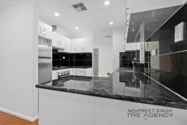 House For Sale - WA - Parmelia - 6167 - Elevated Family Living with Pool on a Huge 711sqm Block  (Image 2)