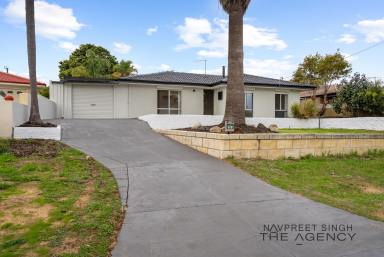 House For Sale - WA - Parmelia - 6167 - Elevated Family Living with Pool on a Huge 711sqm Block  (Image 2)