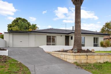 House For Sale - WA - Parmelia - 6167 - Luxury 4-Bedroom Family Home with Two Ensuites, Three Bathrooms, Four Toilets & Brand-New Pool on a Huge 711sqm Block  (Image 2)