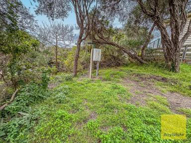 Residential Block For Sale - VIC - Sandy Point - 3959 - Ready to go.  (Image 2)