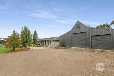 Acreage/Semi-rural For Sale - VIC - Tyabb - 3913 - Stylish Acreage Living with Rare Versatility (Image 2)