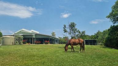 Acreage/Semi-rural For Sale - QLD - Mooloolah Valley - 4553 - Luxury Lifestyle Estate on 7.5 acres with 15m Pool, Stables & Extensive Shed Infrastructure (Image 2)