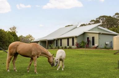 Acreage/Semi-rural For Sale - QLD - Mooloolah Valley - 4553 - Luxury Lifestyle Estate on 7.5 acres with 15m Pool, Stables & Extensive Shed Infrastructure  (Image 2)