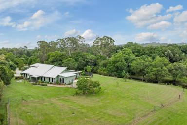 Acreage/Semi-rural For Sale - QLD - Mooloolah Valley - 4553 - Luxury Lifestyle Estate on 7.5 acres with 15m Pool, Stables & Extensive Shed Infrastructure  (Image 2)