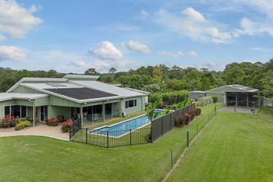 Acreage/Semi-rural For Sale - QLD - Mooloolah Valley - 4553 - Luxury Lifestyle Estate on 7.5 acres with 15m Pool, Stables & Extensive Shed Infrastructure (Image 2)