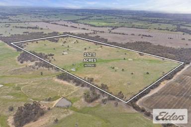 Other (Rural) For Sale - VIC - Natte Yallock - 3465 - 252 Acres of Productive Rural Land with Endless Potential  (Image 2)